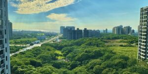【緊急動員！守護淡海之肺，公七簡易自然公園的居民們站出來！】