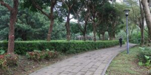 2025/04/15 自救會反對淡海公七公園設警消廳舍提告 開庭盼保留生態綠地 自由時報