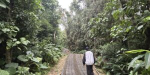 [環境資訊中心]從搶救社區公園、到人生第一次被捕偵訊 專訪淡海公七自救會這群素人