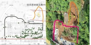 11月30日（週日）趁亂大砍樹！淡水「大斷水」民生危機中，公七公園竟又再遭濫砍約30株樹木！