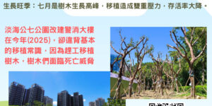 樹木移植知識
