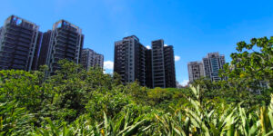 【太報】【深度報導】搶救都市之肺：淡水公七公園搶地爭議　揭示新北綠地吊車尾困境